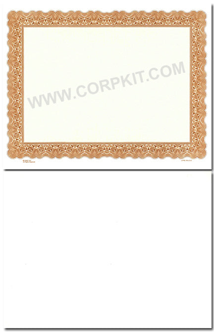 Goes 747 Blank Stock Certificates