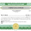 Electronic Digital Single Class Standard Stock Certificates