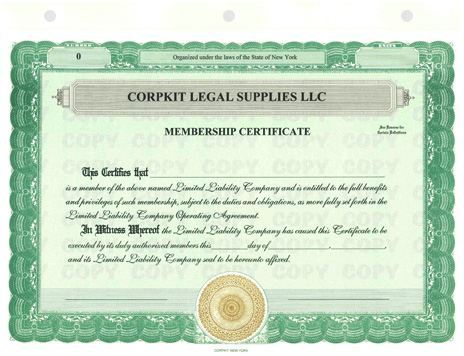 Limited Liability Company (LLC) Kit CorpKit