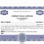 Electronic Digital Single Class Precise Stock Certificates