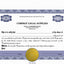 Electronic Digital Single Class Precise Stock Certificates