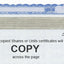 Stock Certificates Blank Standard with Standard Wording on the Back