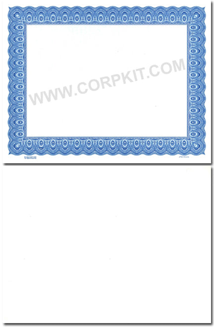 Goes 3520 Blank Stock Certificates