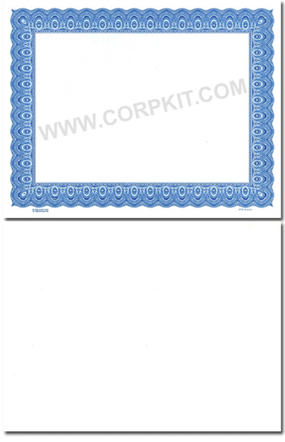 Goes 3520 Blank Stock Certificates